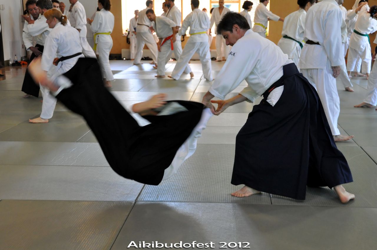 Aikibudofest 2012, samedi (+DSC_1640_f_al_rot_t)