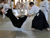 Aikibudofest 2012, samedi (+DSC_1640_f_al_rot_t)